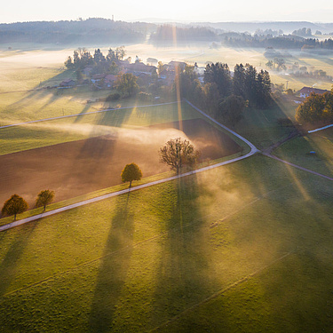 GettyImages Sonnenaufgang über Wiese